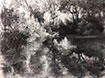 a drawing of water and trees